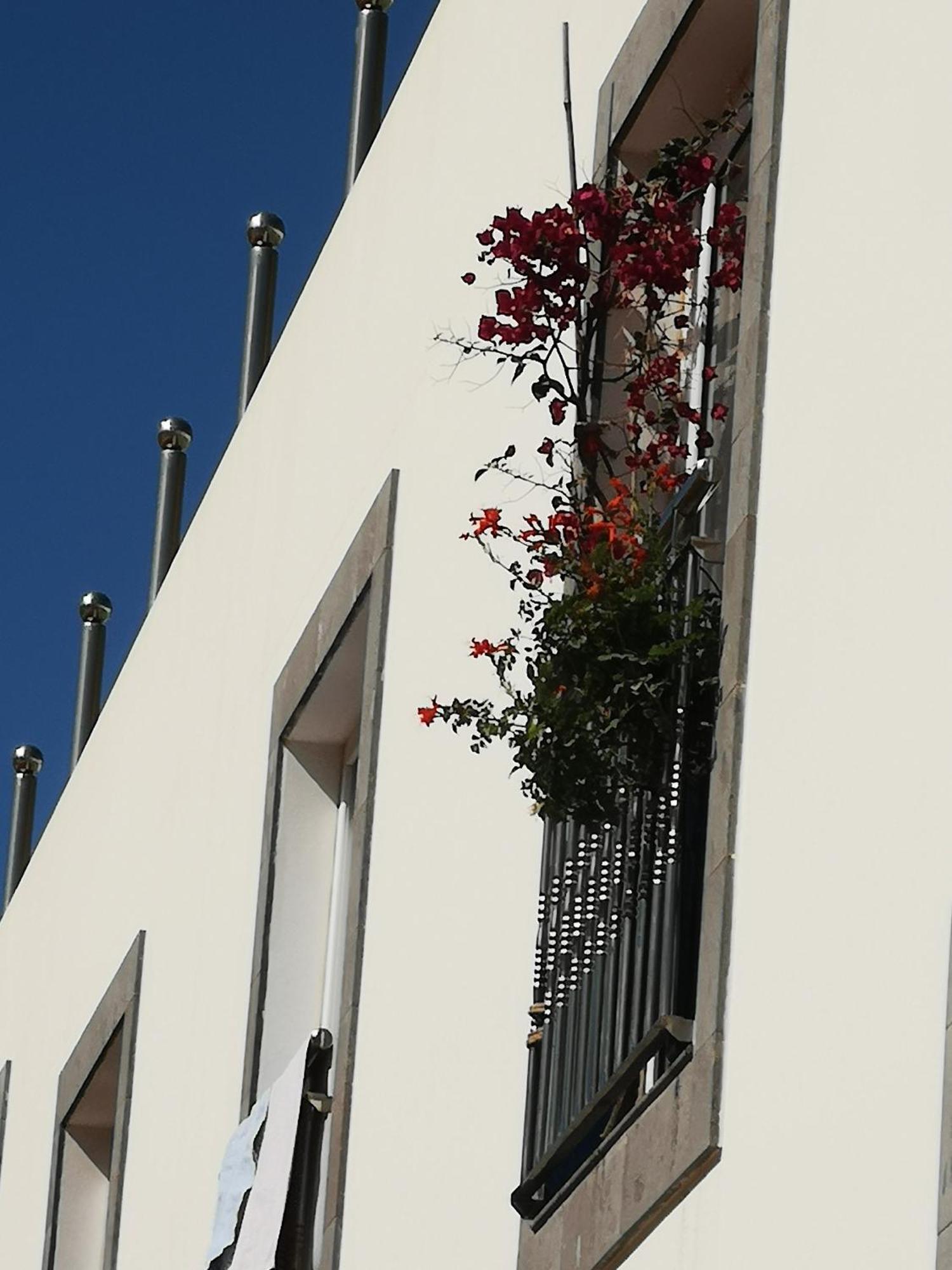 Puerto De Mogan Sonneland Apartment Exterior photo