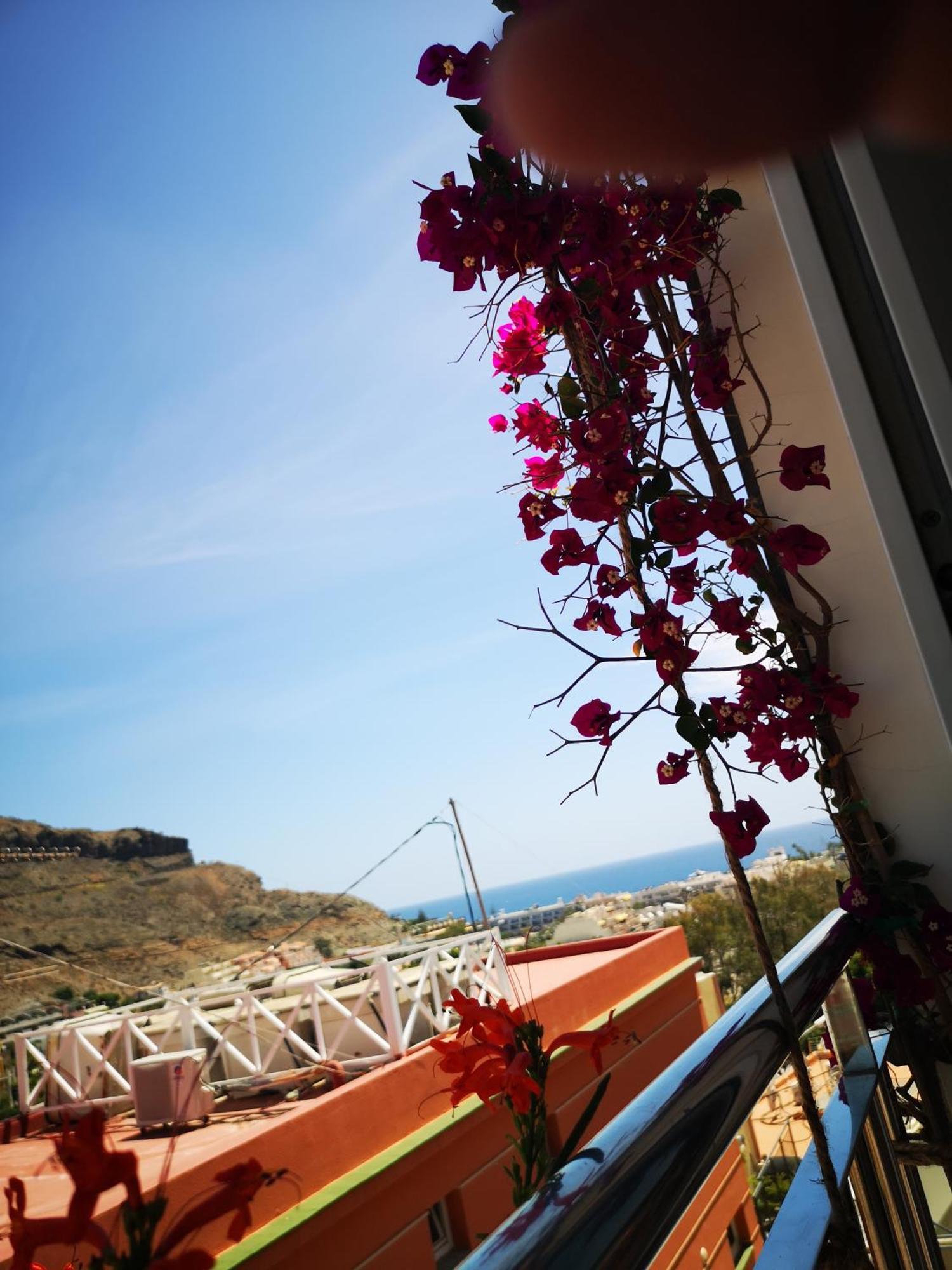 Puerto De Mogan Sonneland Apartment Exterior photo
